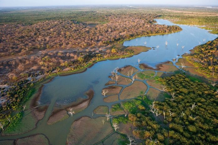 Selous-game-reserve-696x464