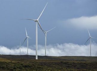 South Africa's wind Industry hails Ramaphosa's commitment to economy
