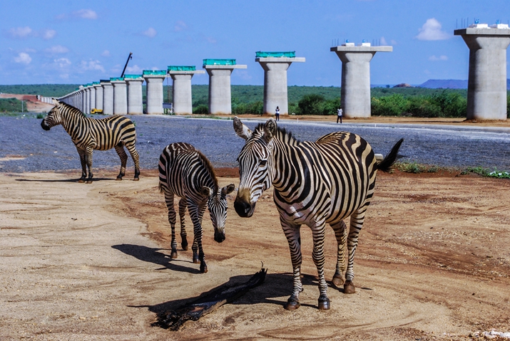 Conservationists in Kenya oppose SGR construction on animals Park