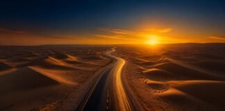 Inside the Trans-Saharan Highway: Africa’s Longest Road Project Connecting Six Nations Inside the Trans-Saharan Highway