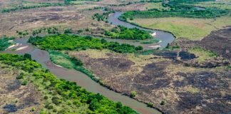 Tanzania to begins work on Rufiji hydropower plant