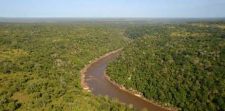 Tanzania commits $310m for Stiegler’s Gorge dam construction