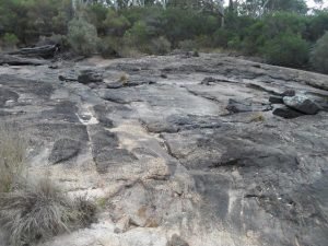 Emu Swamp Dam location