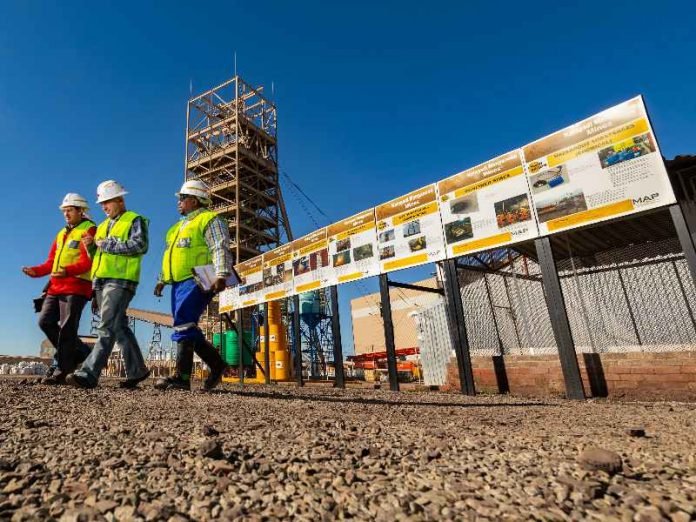 Exiting South African construction sector saved us Murray & Roberts