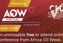 US – Africa collaboration one of key talking points at AOW Virtual
