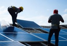 Renewable energy jobs have reached 12 million globally-report