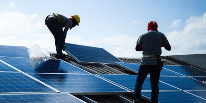 Renewable energy jobs have reached 12 million globally-report