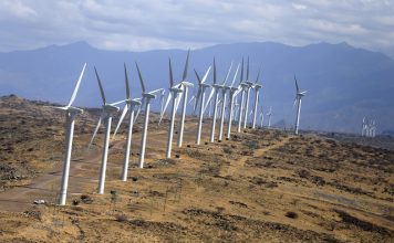 Firm gets nod for Bubisa wind power project in Northern Kenya