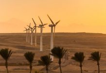 Niger mulls first first wind farm construction