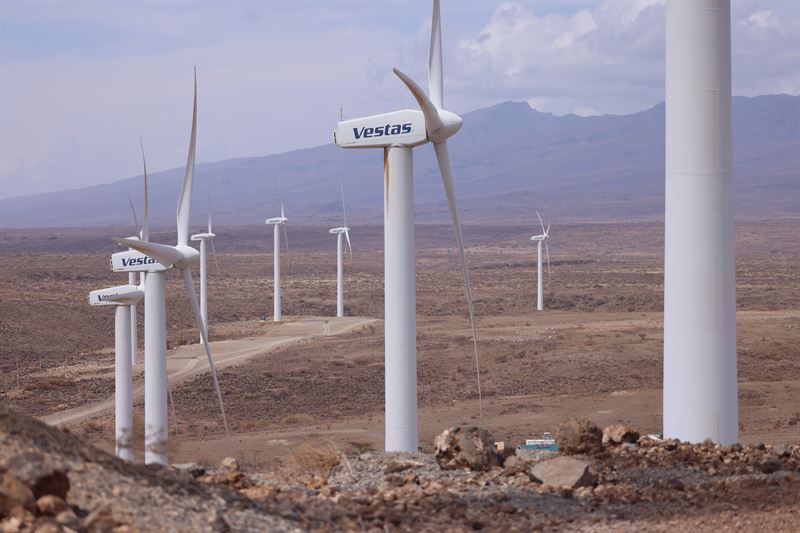 Vestas sells stake in Africa's largest wind farm