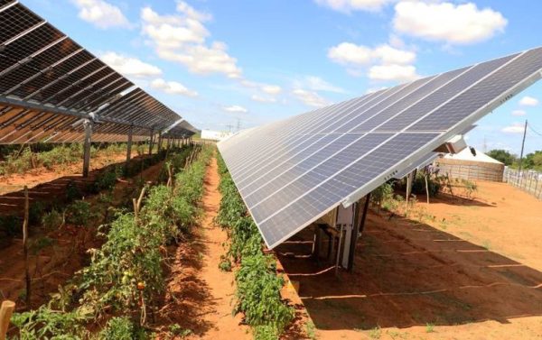 Botala Energy partners with AAAS Energy on major solar project in Botswana