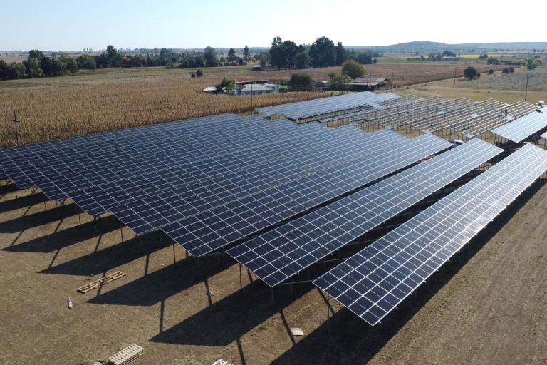 German firm Sunfarming constructs largest agrisolar plant in south