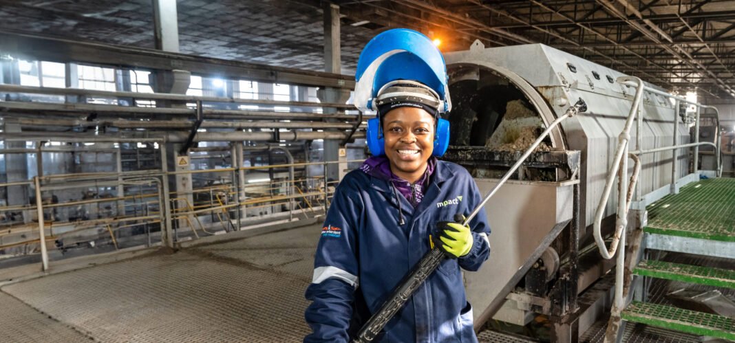 South Africa's only cartonboard mill is closing. 377 jobs lost. Cheap imports and crumbling infrastructure finally broke Mpact's Springs factory