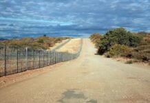 South Africa’s Highest Court Slams Shut the Door on R40 Million Beit Bridge Fence Scandal profteam-cc-and-magwa-construction-court-case-on-profit-beit-bridge-fence