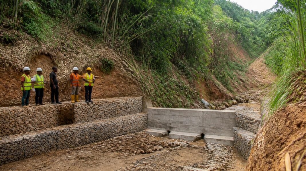 How Bamboo Could Transform Erosion Control in Southeast Nigeria